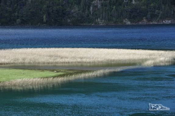 Remanso de rio no Parque Nacional Los Alerces, ao norte de Trevelin, na patagônia argentina